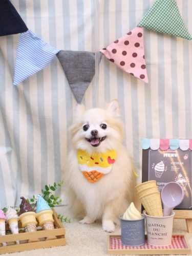 20250517小豆くん